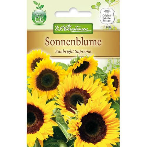 1 szt, Sonnenblume Sunbright Supreme - Samen: Ilość w opakowaniu: 1 Stück