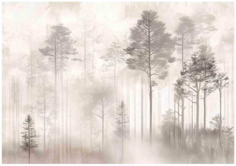 Fototapeta Las Vintage Drzewa Natura Do Salonu Sypialni WALLARENA 400x280 cm Tapeta Na Flizelinie 1 szt.