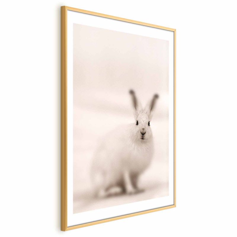 Plakat Artgeist Strachliwe spojrzenie 60x90 cm z ramą złotą 1 szt