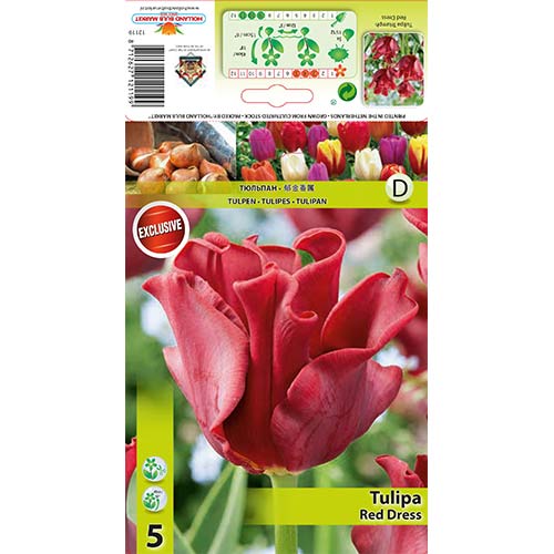 5 kus, Tulipán Red Dress - : Monžstvo balíkov: 5 kus