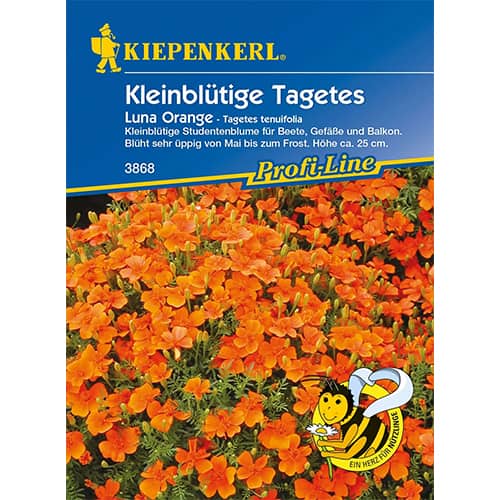 1 szt, Tagetes Luna Orange - Samen: Ilość w opakowaniu: 1 Stück