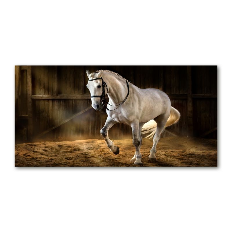 Obraz canvas Tulup Siwek w stajni 100x50 cm 1 szt.