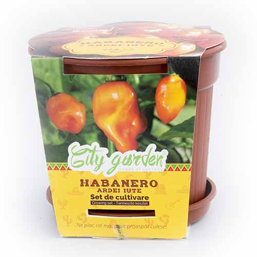 1 pac, Set de cultivare - Ardei iute Mexican Habanero Orange - Semințe: Mod de ambalare: 1 pac