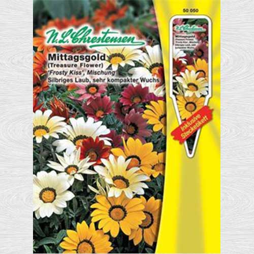 1 pac, Gazania (Floarea comoară) Kiss, mix multicolor - Semințe: Mod de ambalare: 1 pac