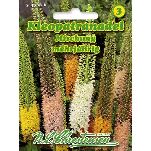 1 szt, Korbácsliliom, színkeverék - Magok: Mod de ambalare: 1 db