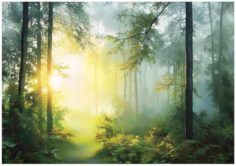 Fototapeta 3D Las Drzewa Natura Do Salonu Sypialni WALLARENA 300x210 cm Tapeta Na Flizelinie 1 szt.