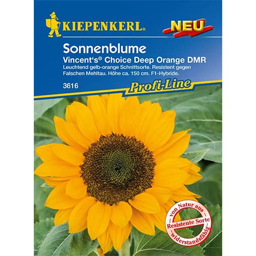 1 kus, Okrasná slunečnice Vincent's Deep Orange DMR, F1 - : Monžstvo balíkov: 1 kus