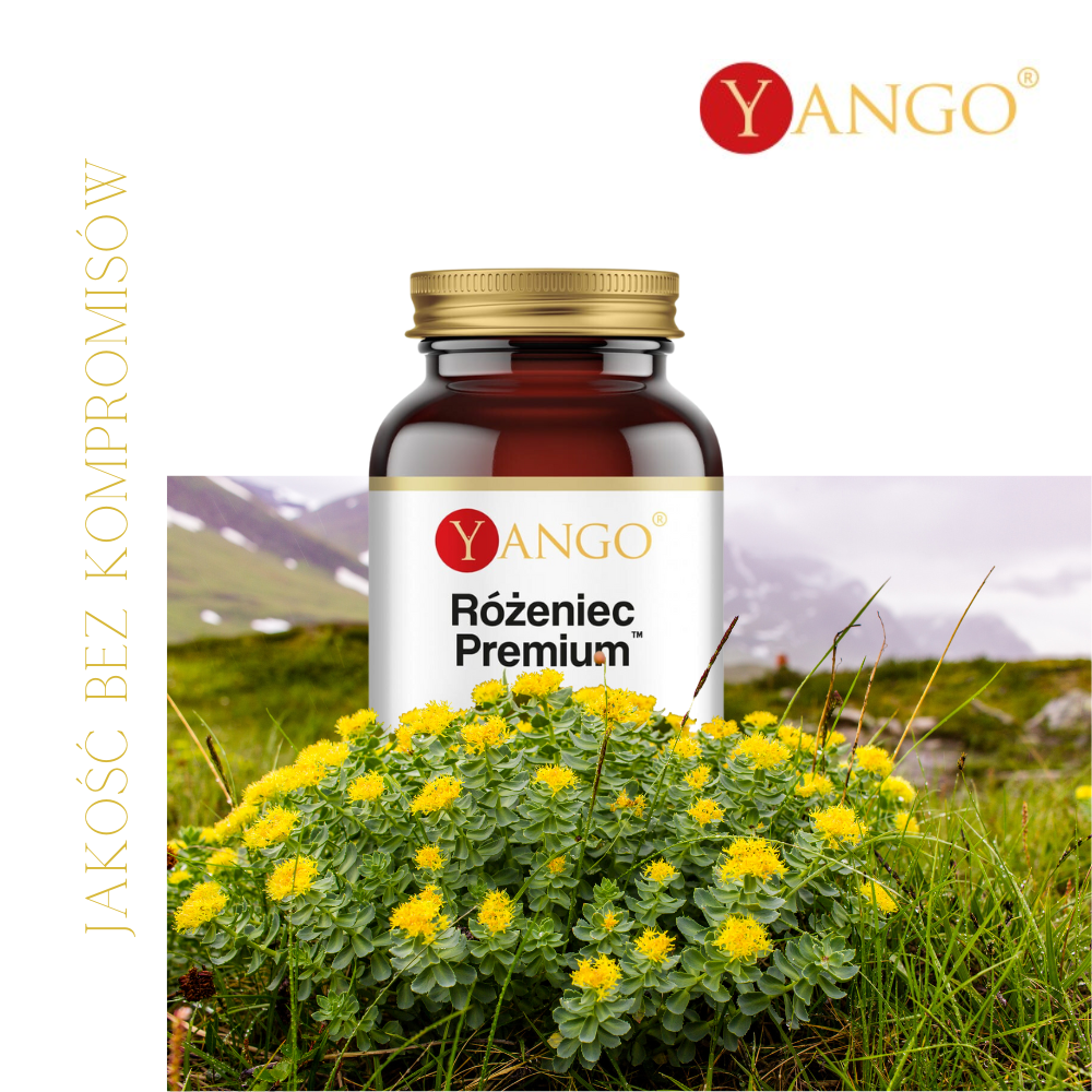Różeniec Premium - 100kaps. Yango