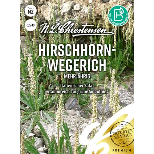 1 szt, Hirschhornwegerich - Samen: Ilość w opakowaniu: 1 Stück