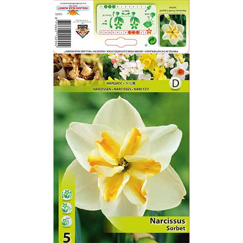 5 db, Nárcisz Sorbet - Hagymák: Mod de ambalare: 5 db