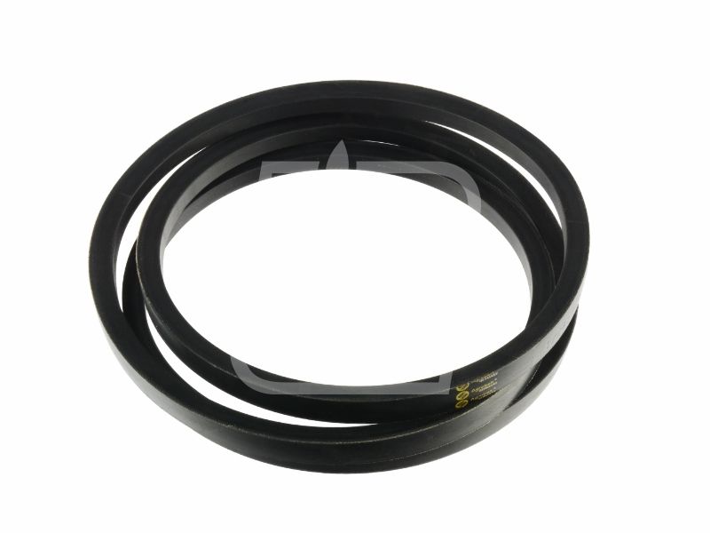 Pas 1724154M1 22 x 2667