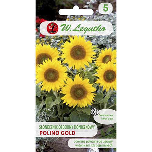 1 szt, Sonnenblume Polino Gold - Samen: Ilość w opakowaniu: 1 g