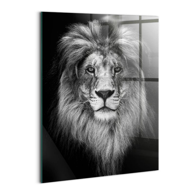 Szklany Obraz Ścienny Wallfluent 60x80 cm Głowa lwa dzikiego kota 1 szt.