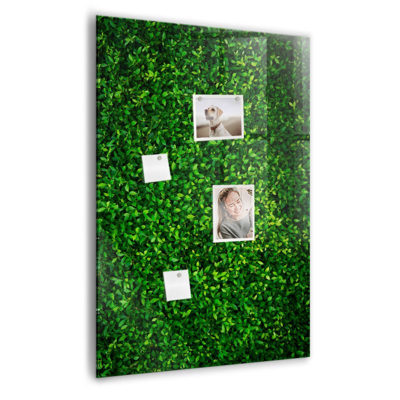 Szklana tablica magnetyczna Wallfluent 70x100 cm Płot liście roślin Biały marker 1 szt.