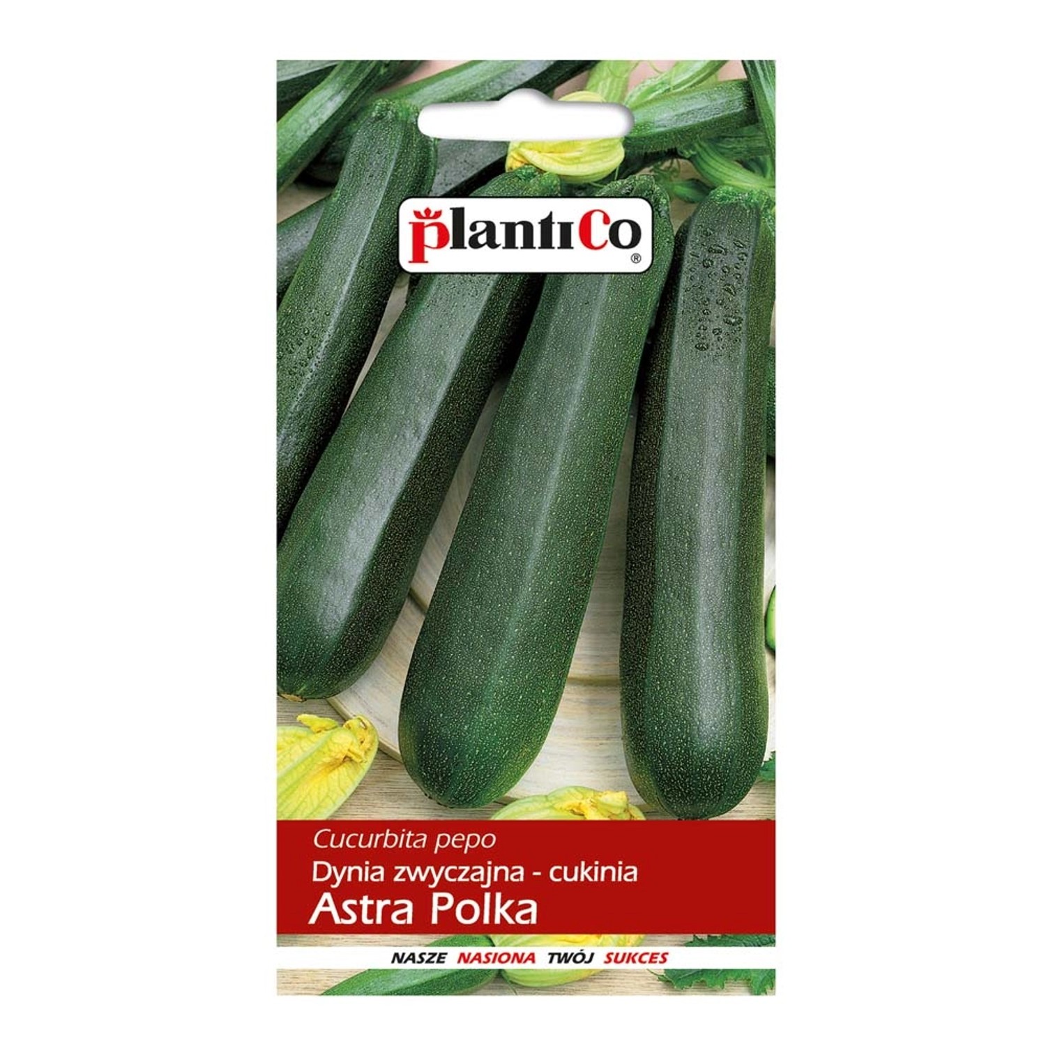 Cukinia Astra