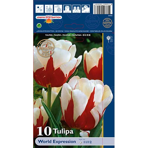 10 kus, Tulipán World Expression - : Monžstvo balíkov: 10 kus