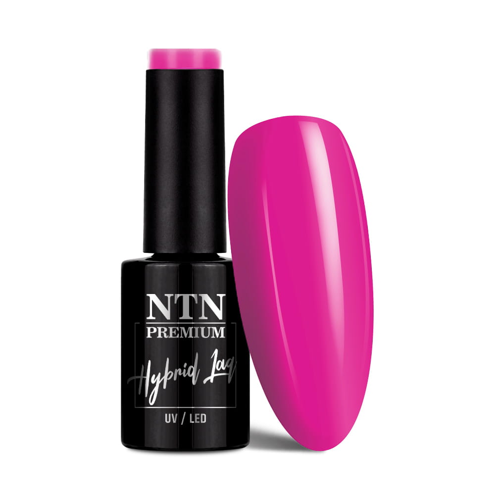 Lakier hybrydowy Ntn Premium Delight Sorbet Collection 5 g Nr 150