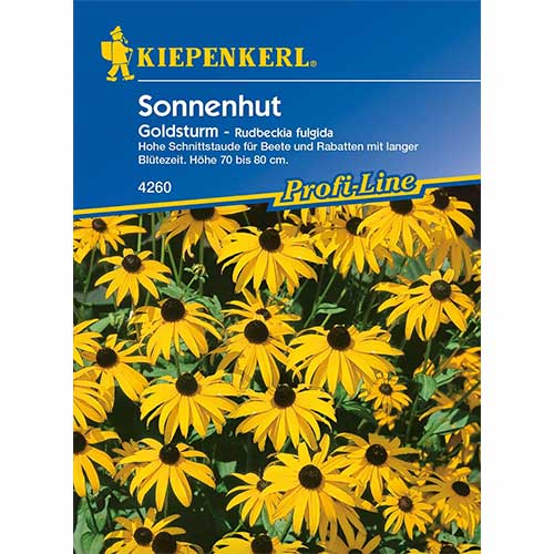 1 pac, Rudbeckia (Bulgări de soare) Goldsturm - Semințe: Mod de ambalare: 1 pac