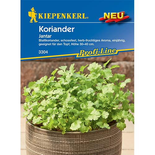 1 szt, Kolendra Jantar - Nasiona: Ilość w opakowaniu: 200 szt.