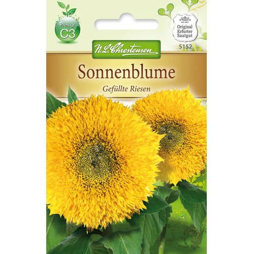 1 szt, Sonnenblume Gefüllte Riesen - Samen: Ilość w opakowaniu: 1 Stück