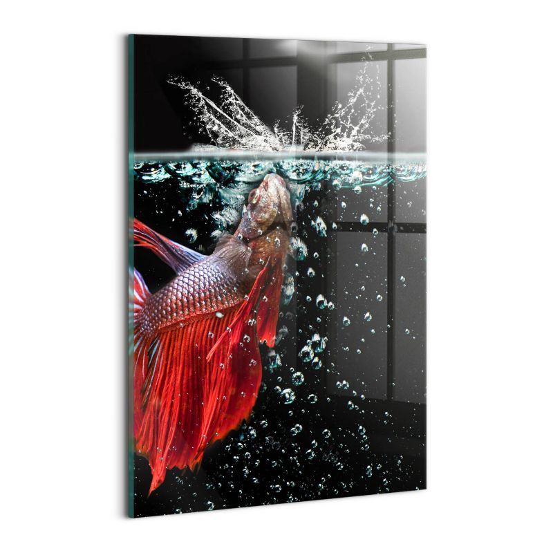 Szklany Obraz Ścienny Wallfluent 30x20 cm Ryba w akwarium 1 szt.