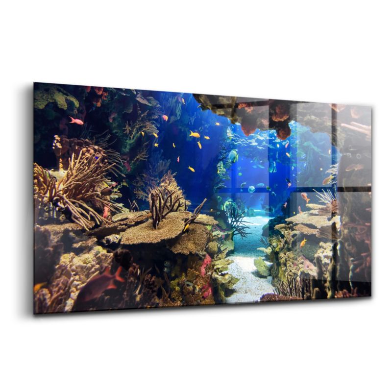 Foto Obraz Ścienny Szklany Wallfluent 140x70 cm Akwarium z rybami 1 szt.