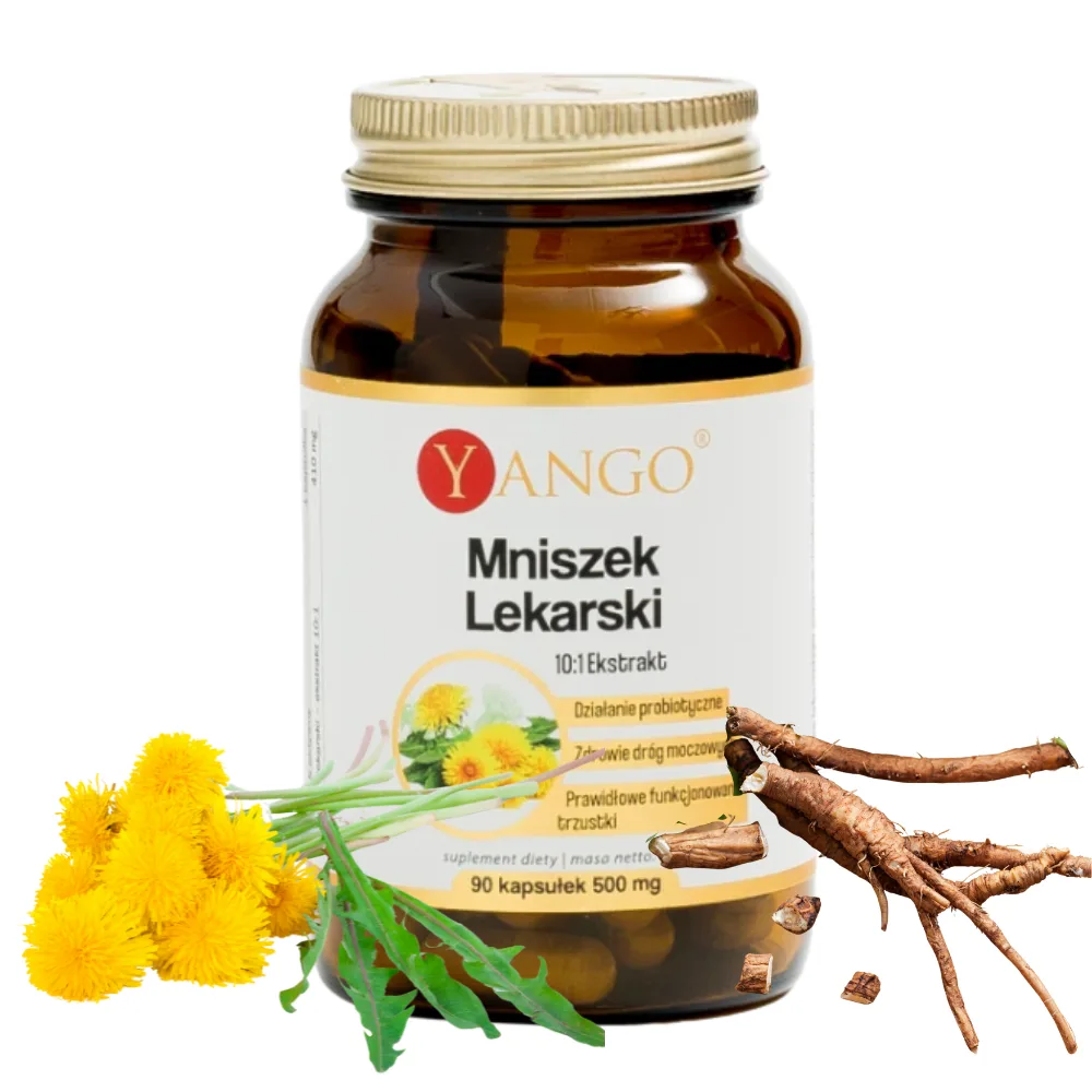 Mniszek Lekarski ekstrakt 10:1 90kaps. Yango
