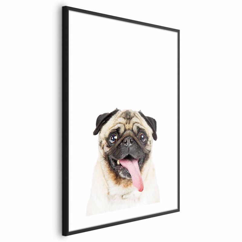 Plakat Artgeist Mops 29,7x42 cm z ramą czarną 1 szt