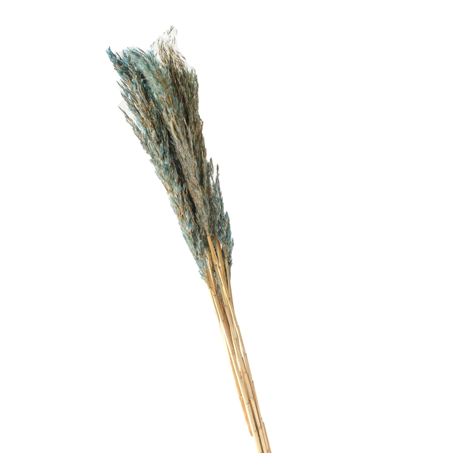 Trawa Plume 80-90cm 12-14szt szara 70g