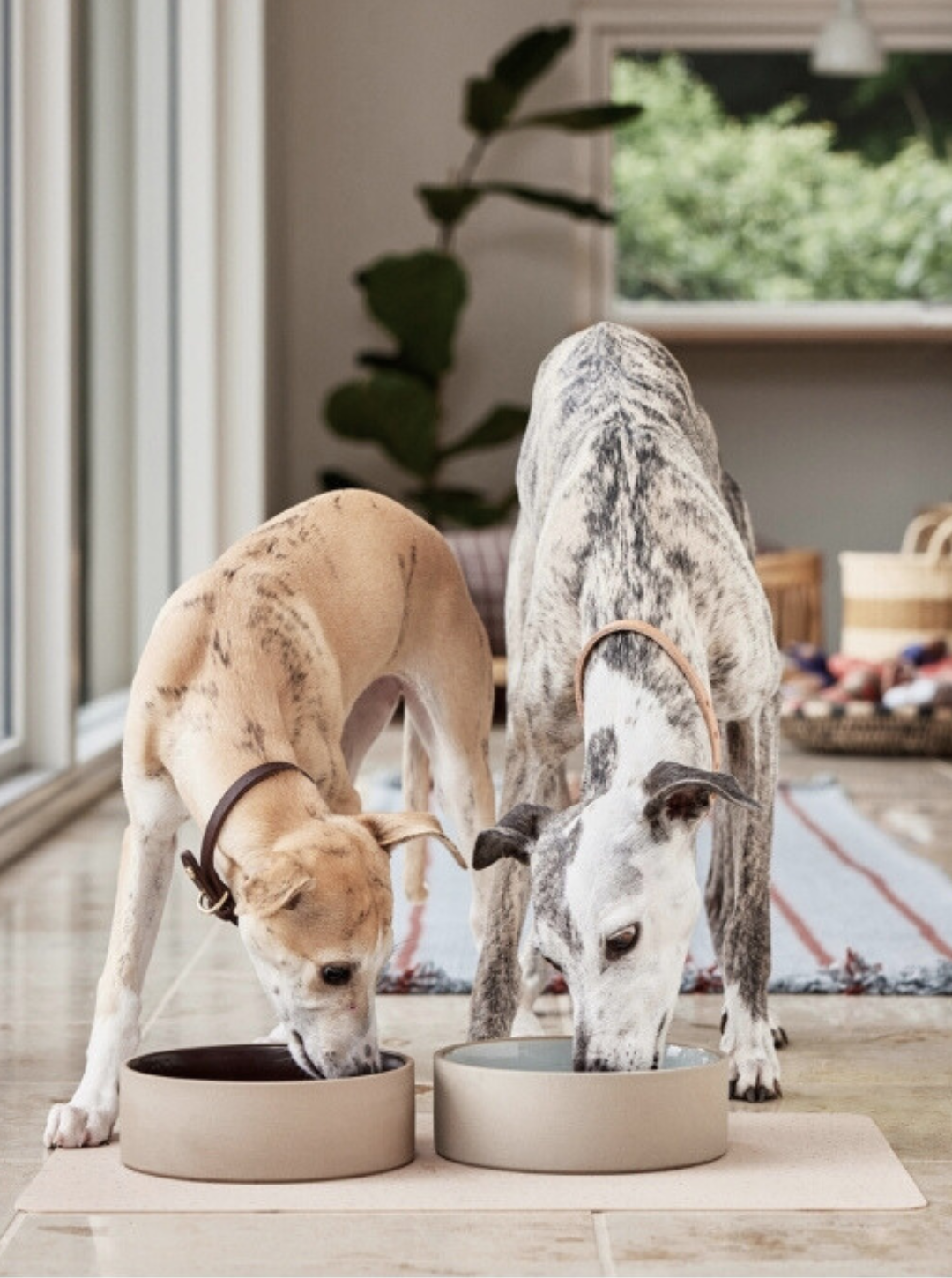 Mata dla Psa Koko Dog Bowl Mat Camel OYOY ZOO