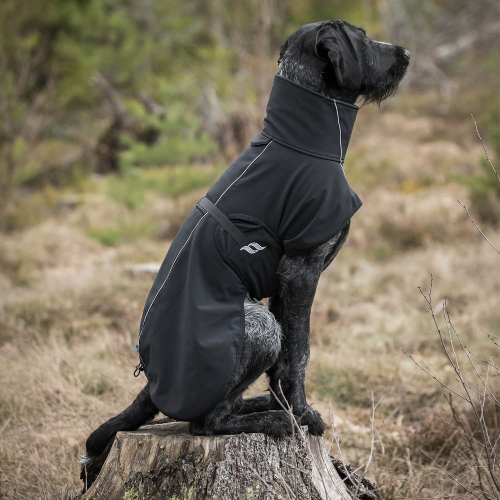 Back on Track Back on Track Bark przeciwdeszczowa kurtka dla psa 24h