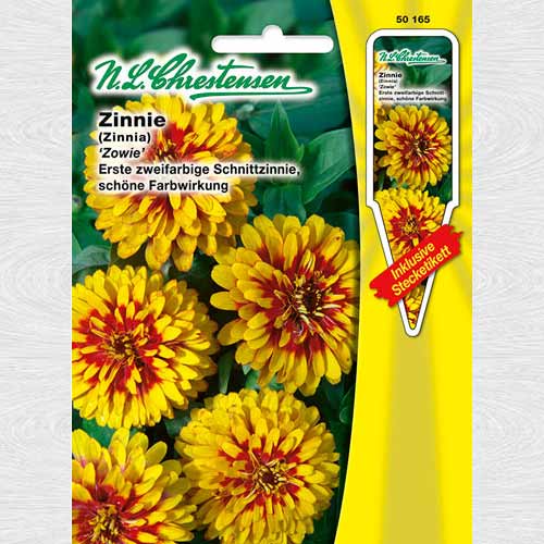 1 pac, Zinnia (Cârciumăreasă) Zowie - Semințe: Mod de ambalare: 1 pac