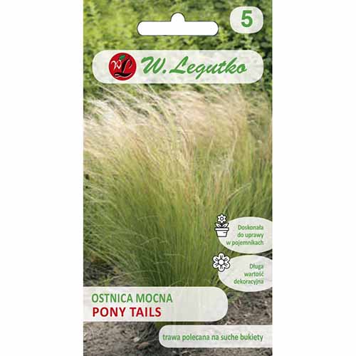 1 szt, Ostnica mocna Pony Tails Legutko - Nasiona: Ilość w opakowaniu: 0.05 g