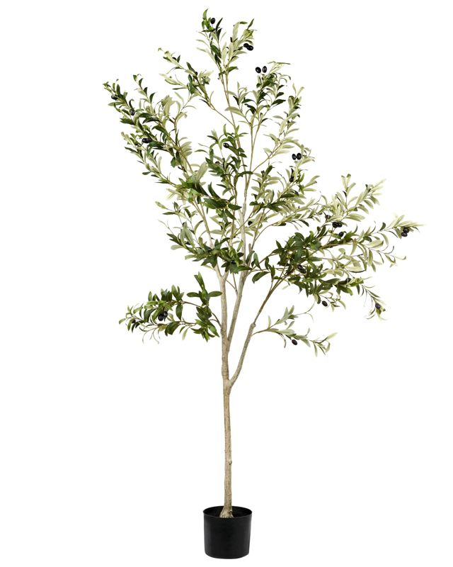 Sztuczna roślina Olive tree Zielony