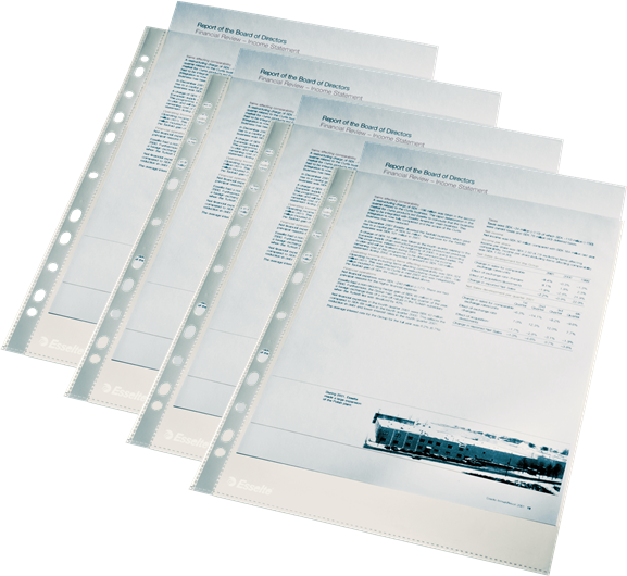 2x Koszulki krystaliczne Esselte, A4, 40μm, 100 sztuk, transparentny