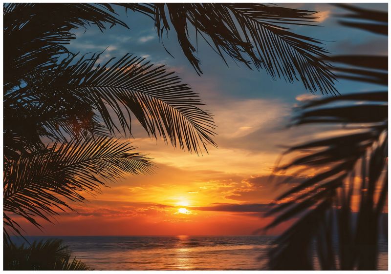 Fototapeta WALLARENA Do Sypialni Salonu Na Flizelinie Plaża Palmy Natura 350x250 cm Tapeta Ścienna 1 szt.