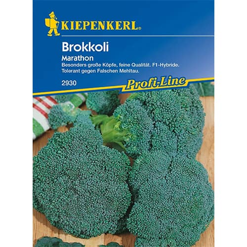 1 szt, Brokkoli Marathon F1 - Magok: Mod de ambalare: 1 db