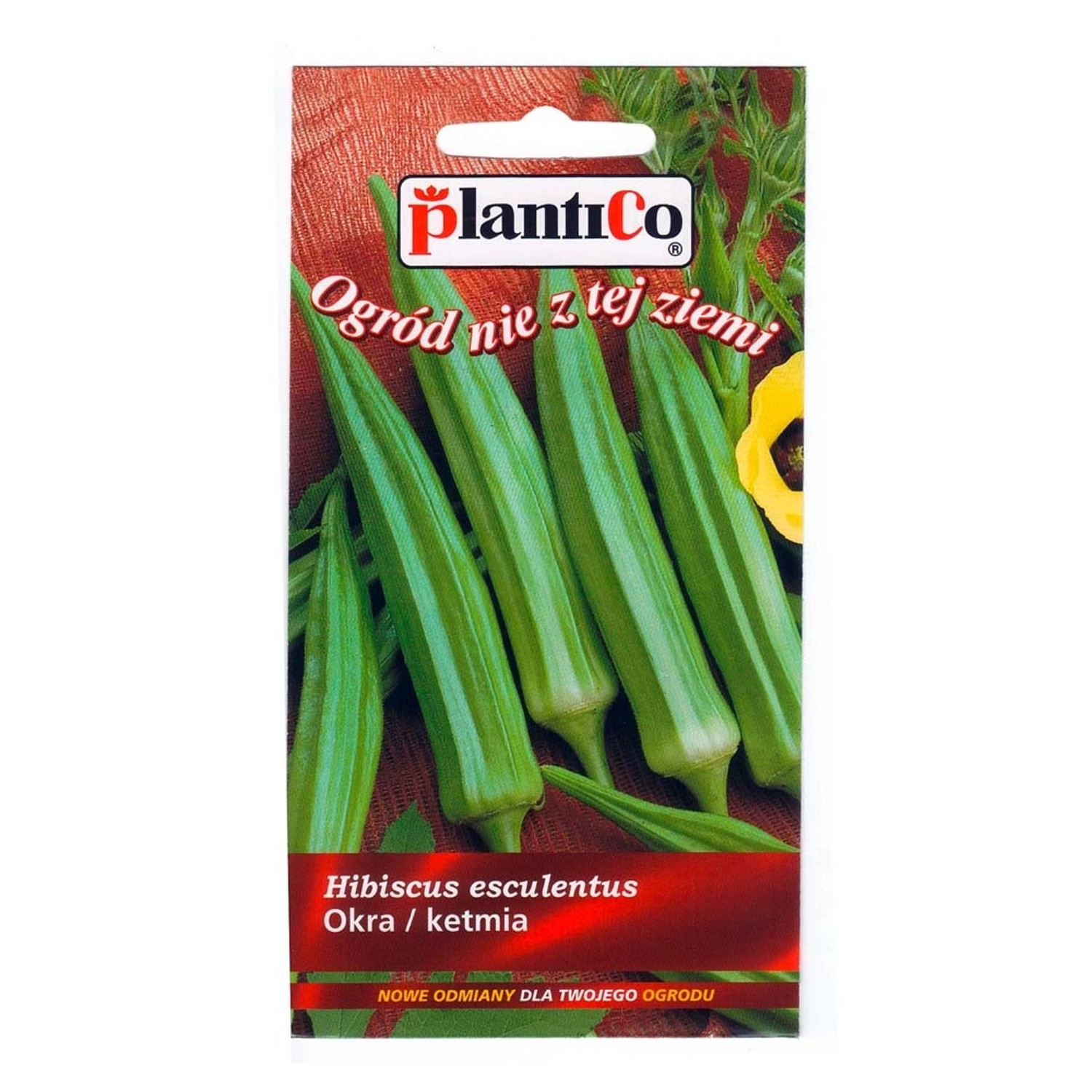 Okra