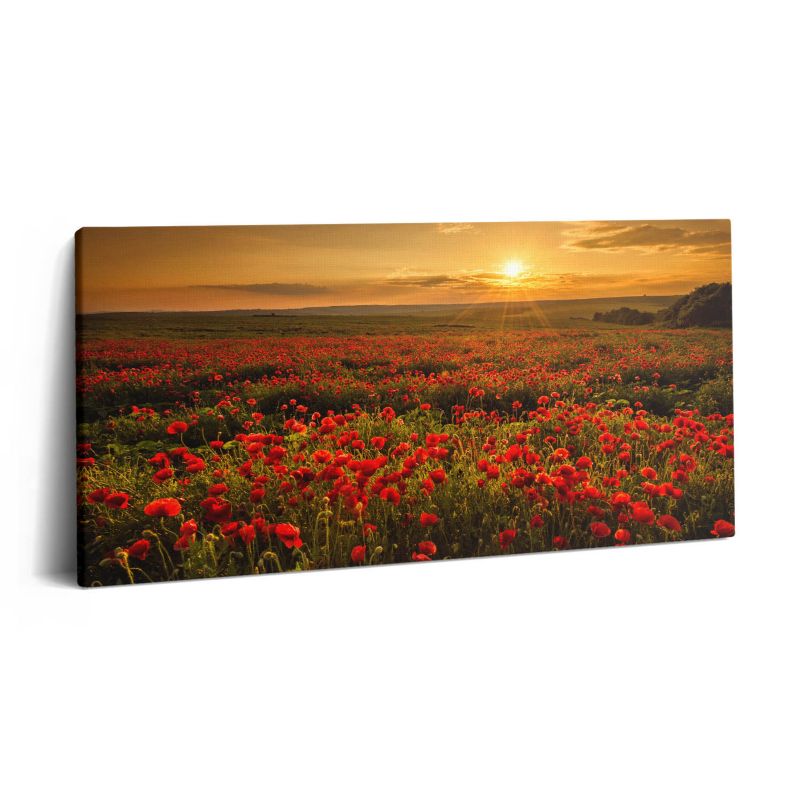 Obraz na płótnie Wallfluent 120x60 cm Pejzaż łąki kwiatów maków 1 szt.