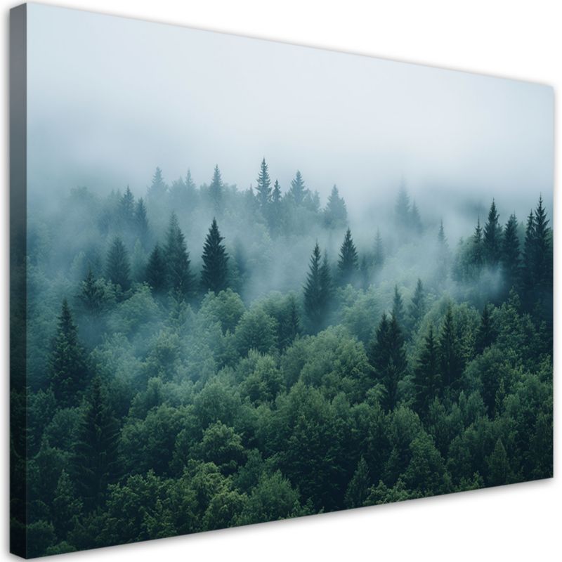 Obraz do salonu sypialni Feeby Zielony las we mgle natura krajobraz 60x40cm 1szt