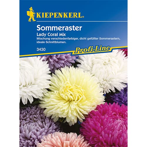 1 szt, Aster pelny Lady Coral, mix kolorow - Nasiona: Ilość w opakowaniu: 130 szt.