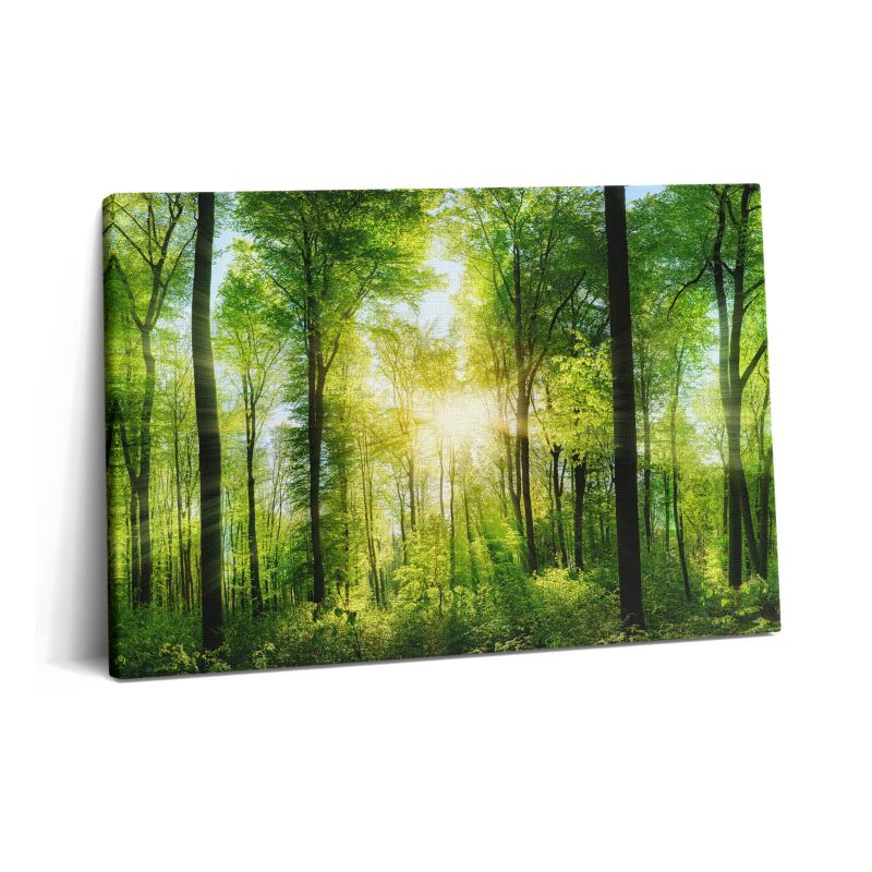 Obraz na płótnie Wallfluent 60x40 cm Natura las drzewa 1 szt.
