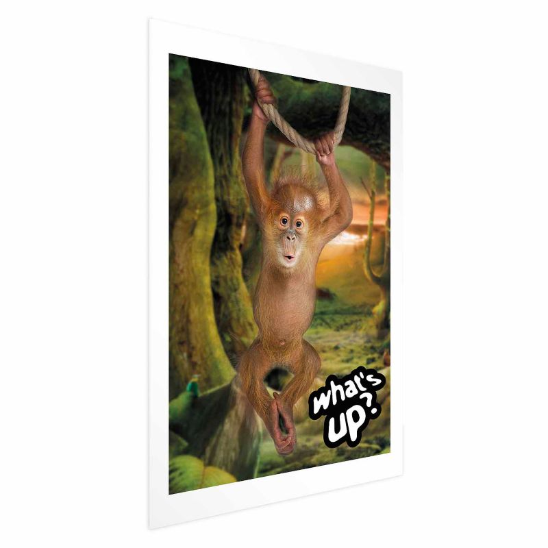 Plakat Artgeist What's Up 60x90 cm bez ramy z marginesem 1 szt