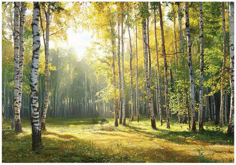 Fototapeta Las 3D Zielony Natura Do Salonu Sypialni WALLARENA 250x175 cm Tapeta Na Flizelinie 1 szt.