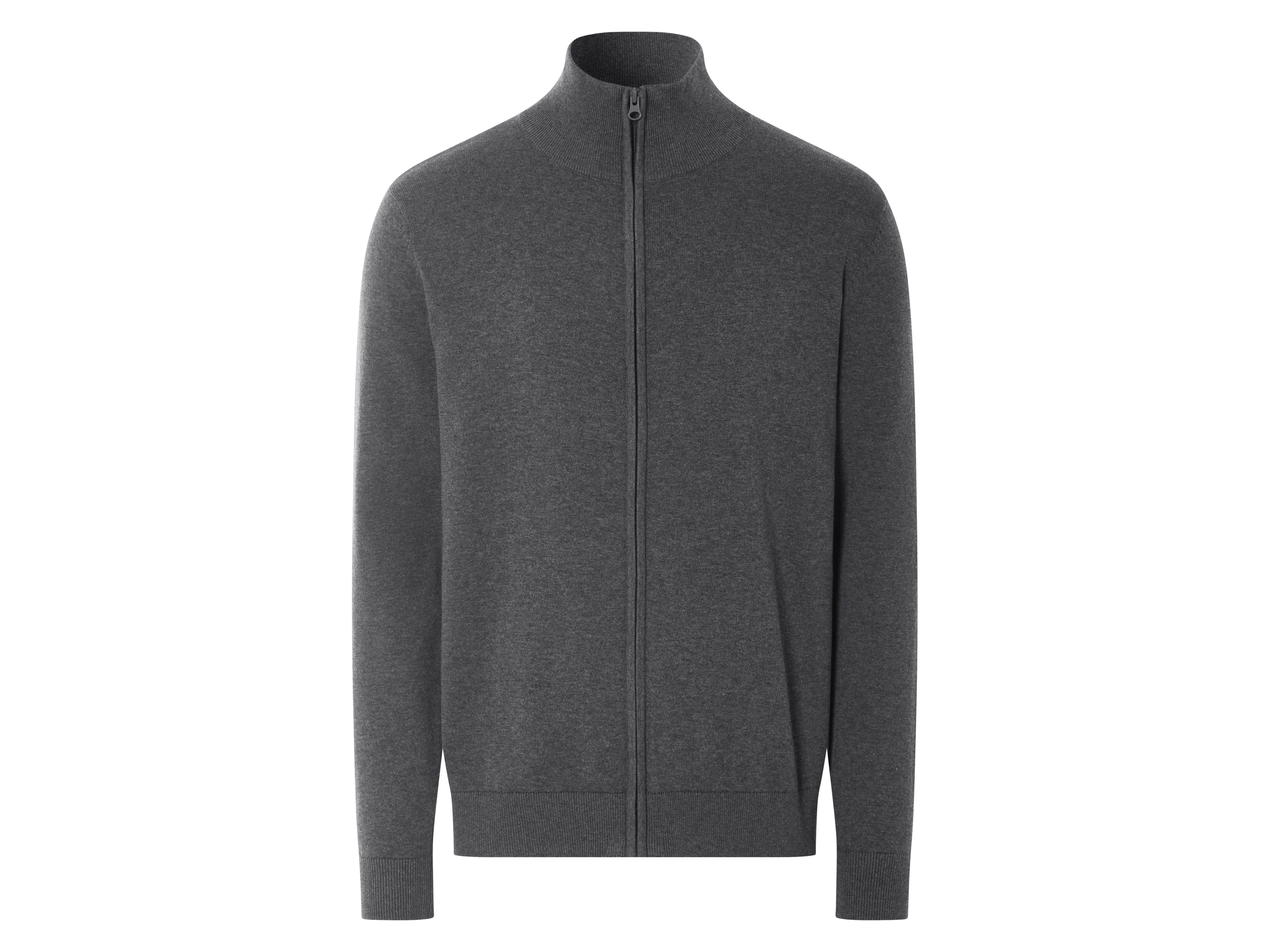 esmara Men Sweter męski z bawełny (Szary, L (52/54))