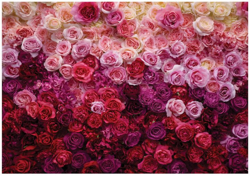 Fototapeta WALLARENA Do Sypialni Salonu Na Flizelinie Kwiaty Róże Romantyczna 250x175 cm Tapeta Ścienna 1 szt.