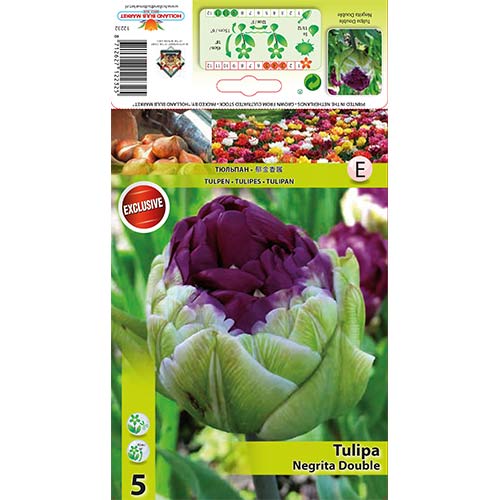 5 buc, Lalele Double Negrita - Bulbi: Mod de ambalare: 5 buc