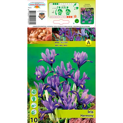 10 kus, Kosatec Harmony - : Monžstvo balíkov: 10 kus