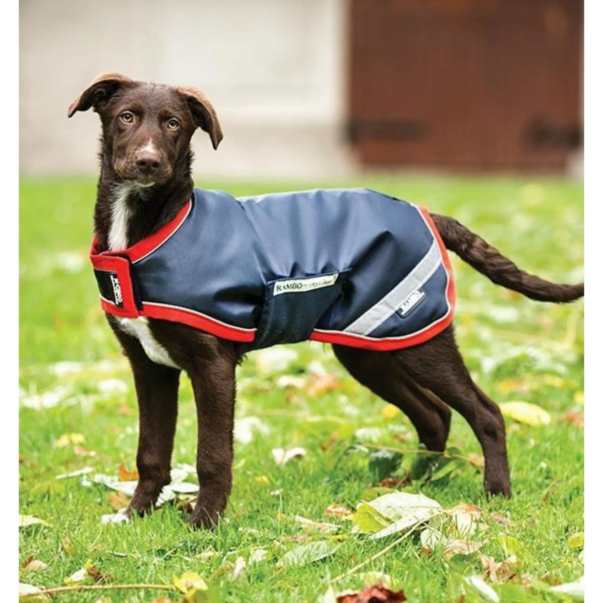 Horseware Horseware Rambo 2w1 przeciwdeszczowa kurtka dla psa 24h