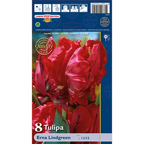 8 db, Tulipán Erna Lindgreen - Hagymák: Mod de ambalare: 8 db